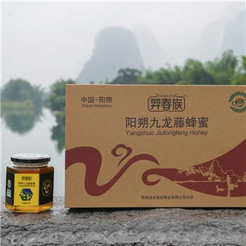 阳朔九龙藤蜜500克*2瓶